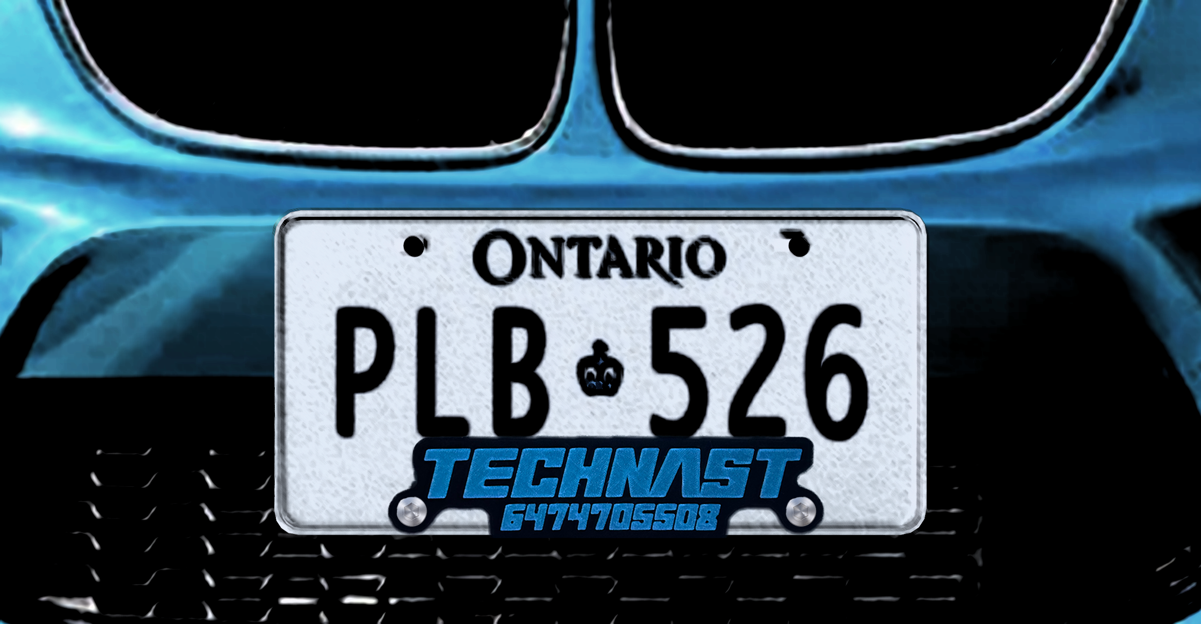 Custom 3D-Printed License Plate Frame with Unique Biomorphic Design for Dealerships - Technast