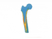 Innovating Biomedical Breakthroughs with Additive Manufacturing.